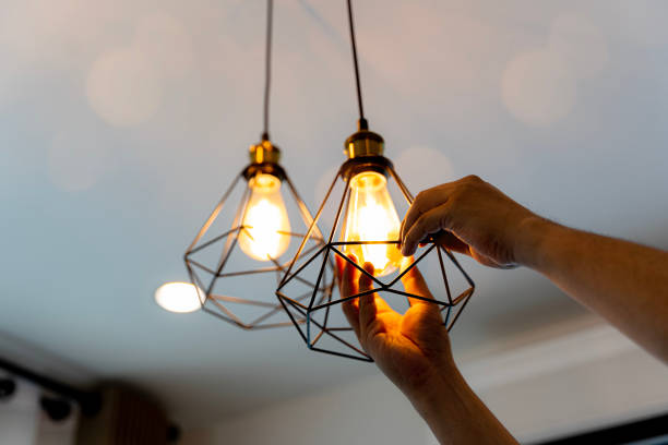 Best Residential Electrician Services  in Northdale, FL